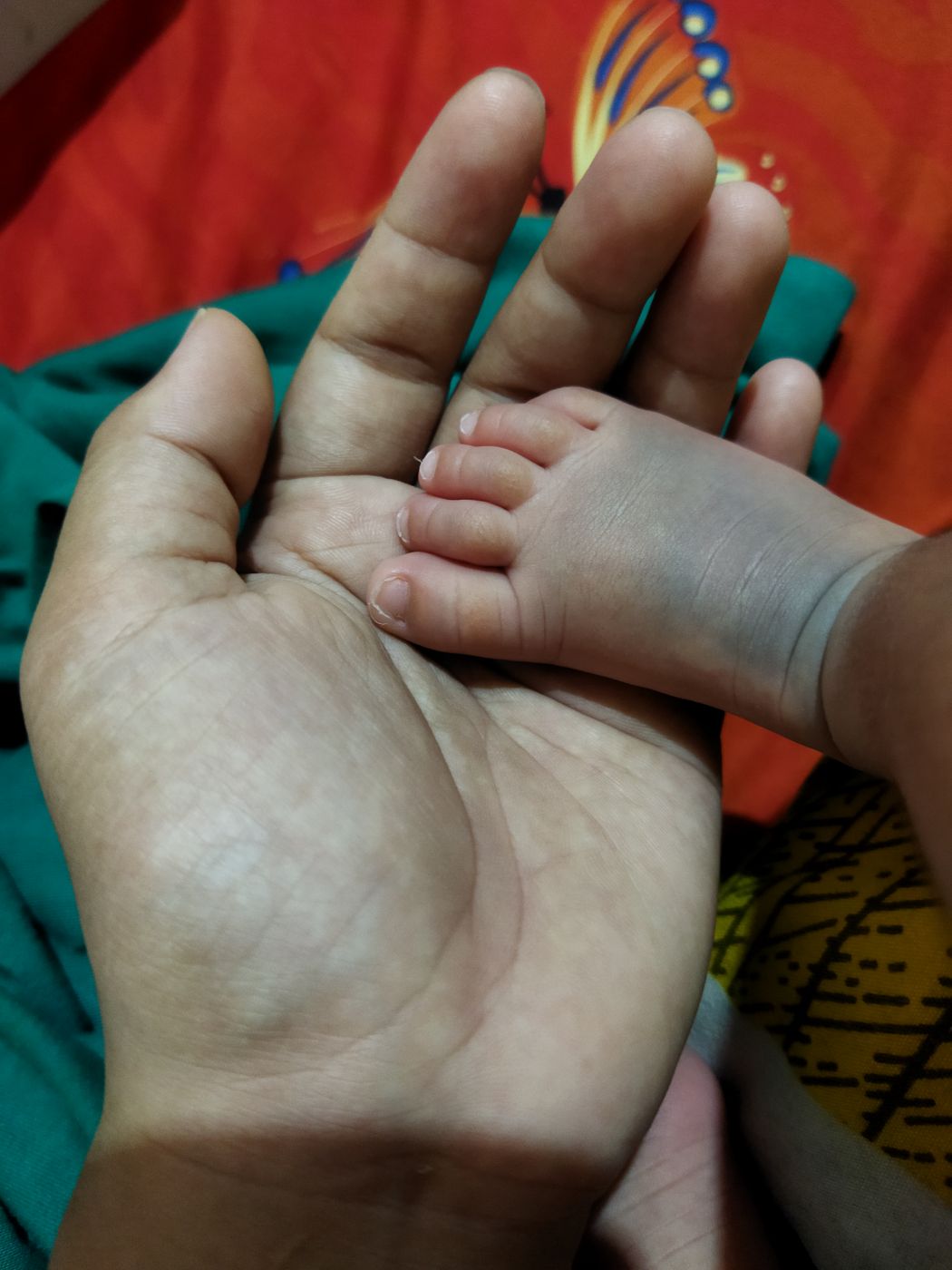 Kenangan Zulhaj dan Febri, foto 24
